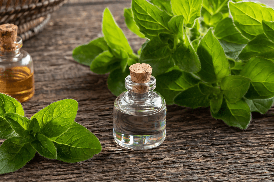 Oil of Oregano Essential Topical Remedy for Fungal and Bacterial
