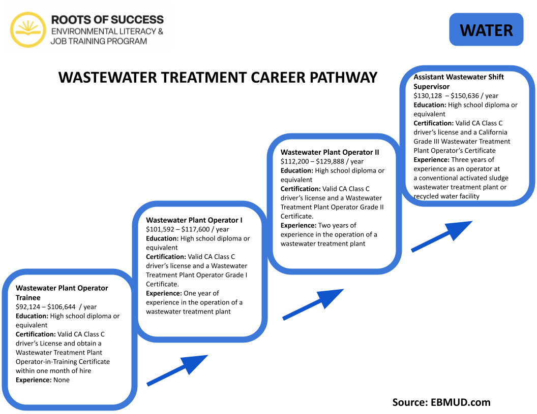 Career Maps Roots of Success