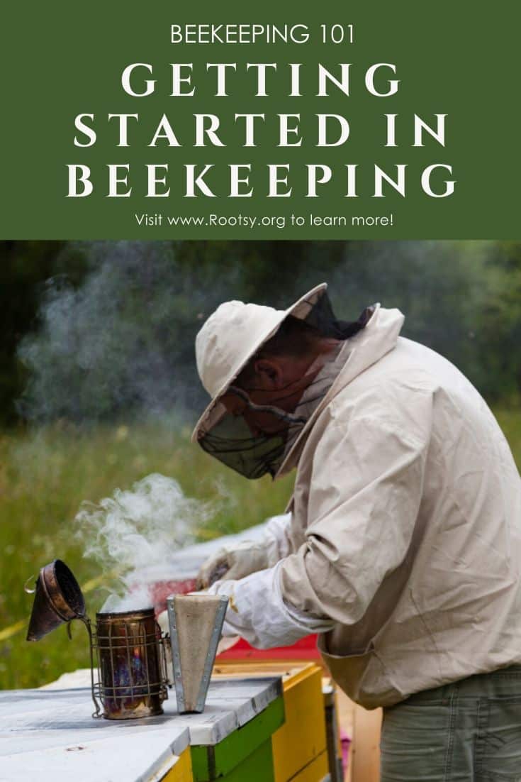 Beekeeping 101 What beginner beekeepers need to know Rootsy Network