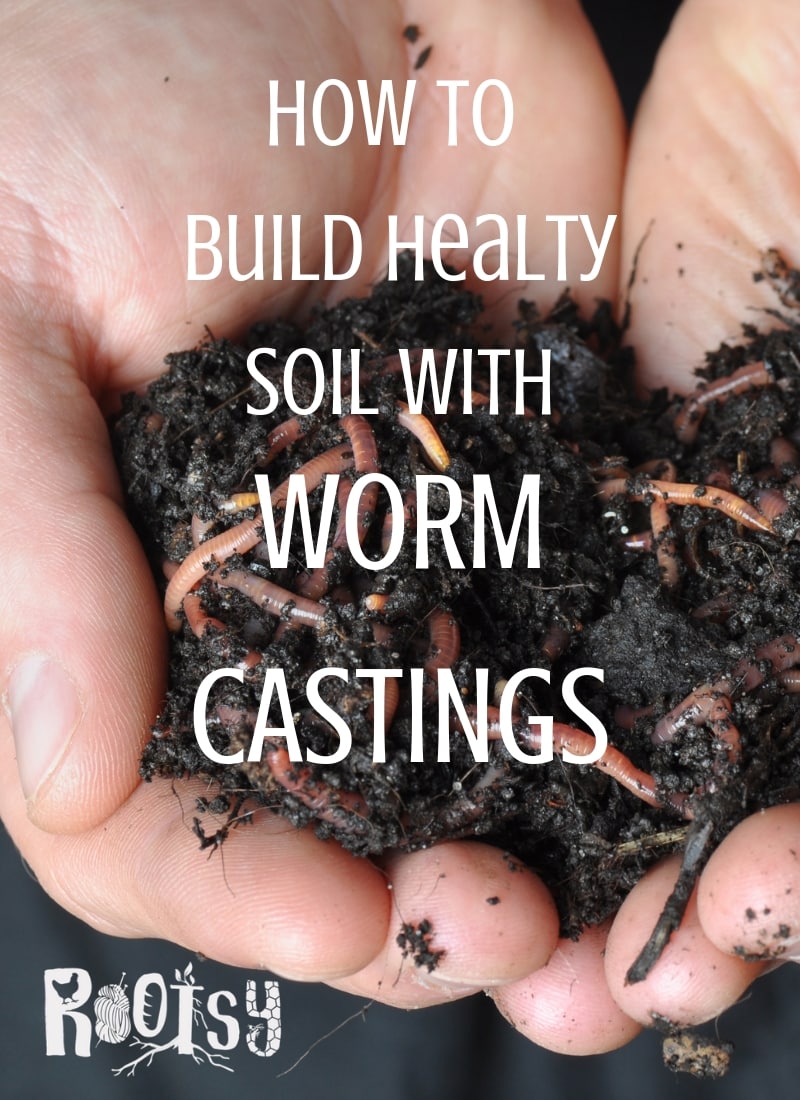 Using Worm Castings to Build Healthy Soil Rootsy Network