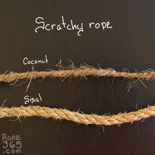 Day 44 Material Rope 365