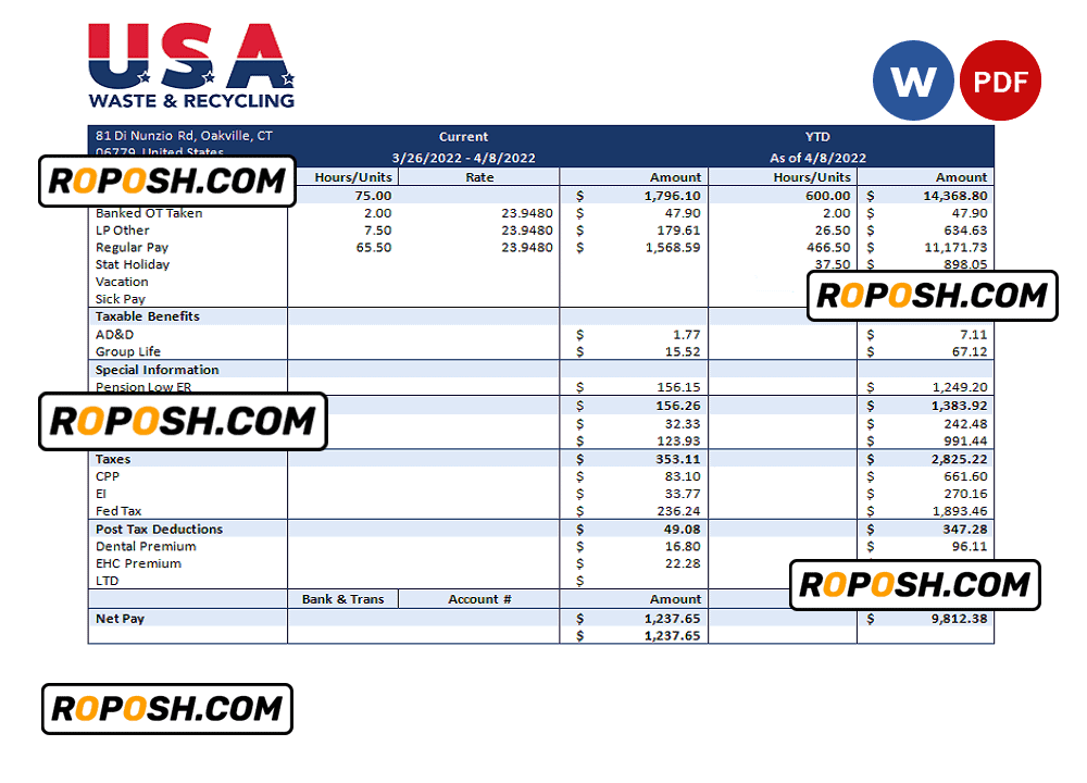 USA Waste & Recycling recycling company pay stub Word and PDF template roposh