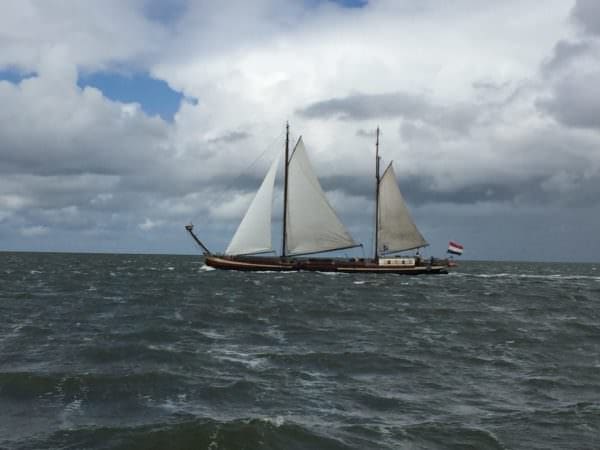 Segeln auf dem Wattenmeer Rorschacher Echo