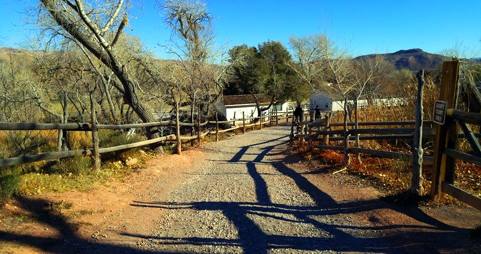 8 reasons why you should visit Spring Mountain Ranch State Park