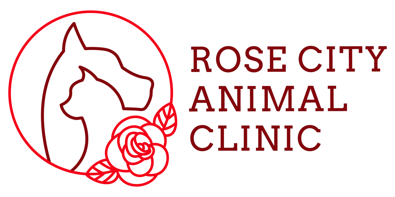 Rose City Animal Clinic Veterinary Care in Tyler, Texas