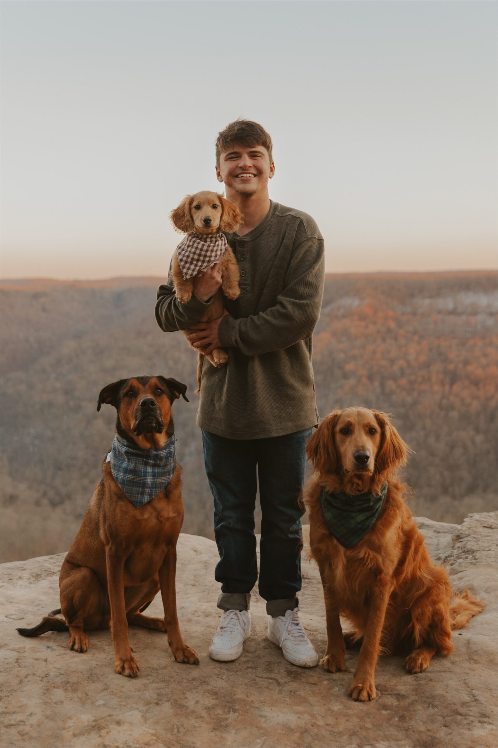 Portland Dog Trainer Dog Trainers in Portland Rose City Dog Training