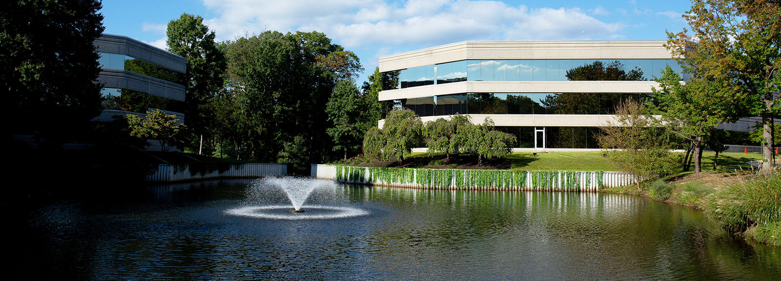 Rose Commercial Real Estate South Jersey Sales & Leasing