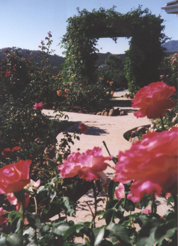 Garden at Rose Creek