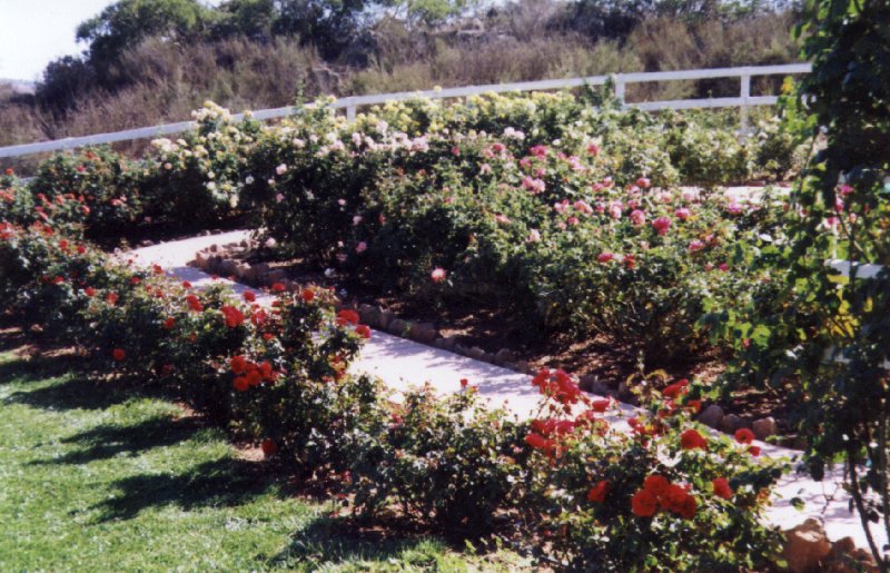 Garden at Rose Creek