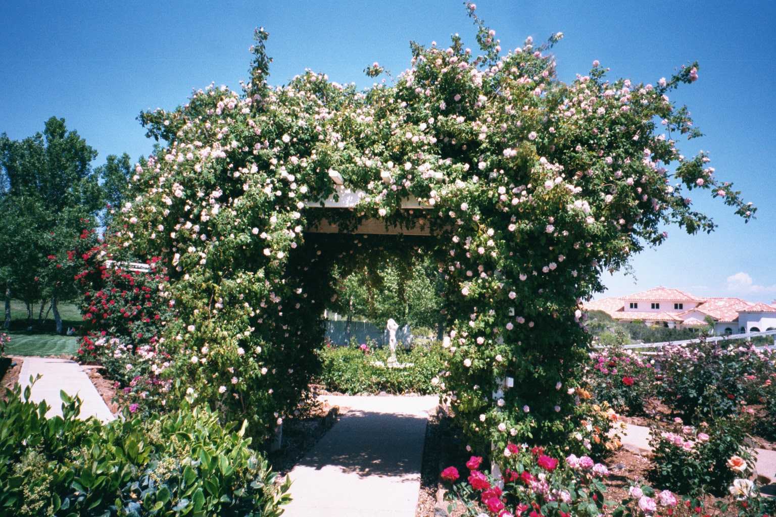 Garden at Rose Creek