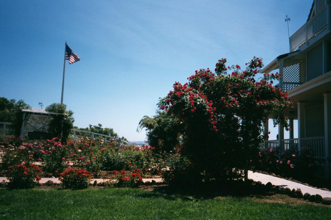 Garden at Rose Creek
