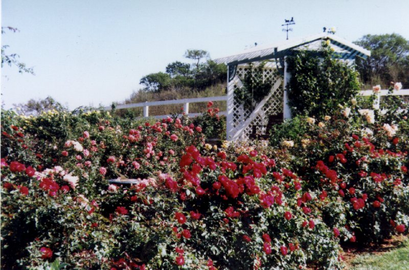 Garden at Rose Creek