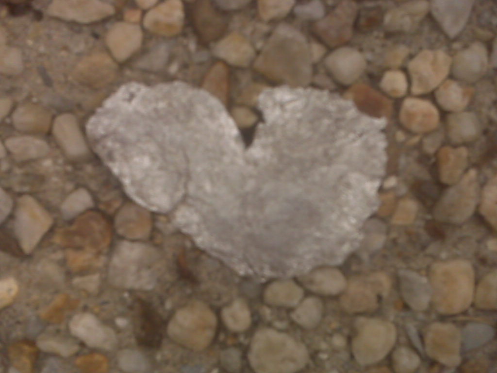 Untitled Too Rose Garden Yoga