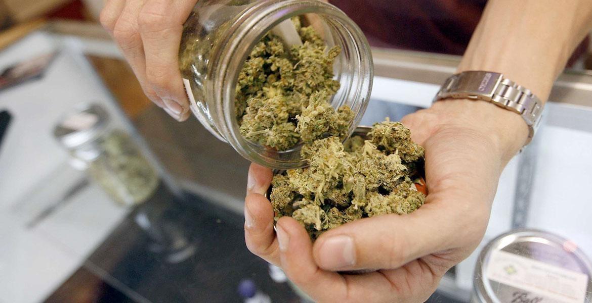 What To Expect from Cheap Weed Understanding the Benefits and Risks