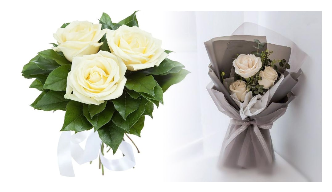 Three Roses Meaning The Complex Understanding of the Flower Rose Meaning