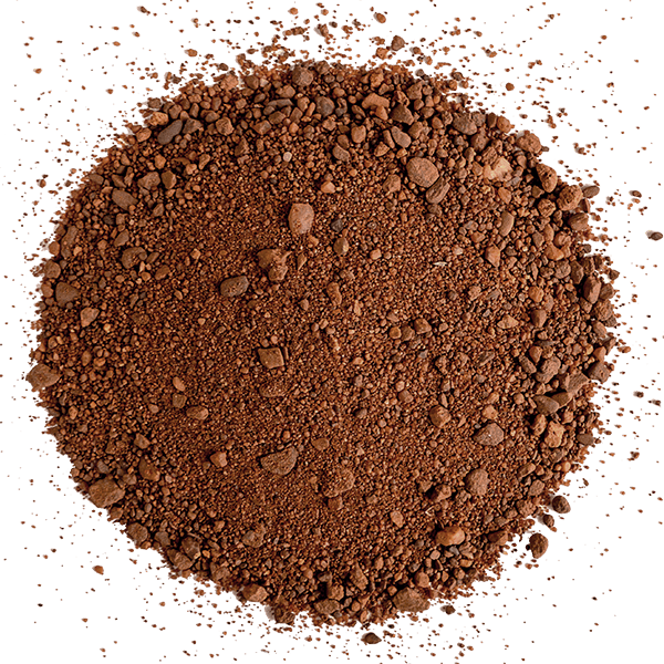 Sand & Aggregates Rose of Jericho