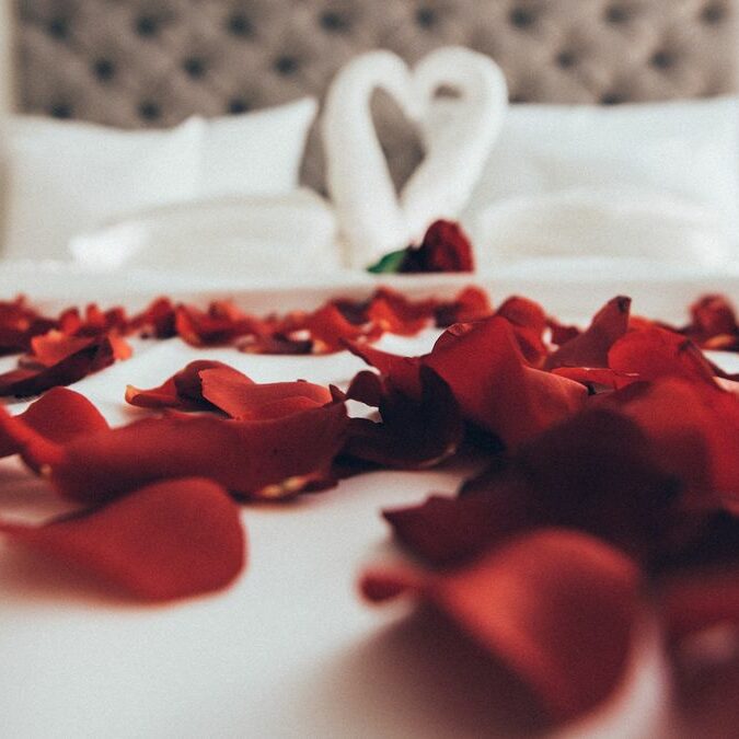 Rose Petals