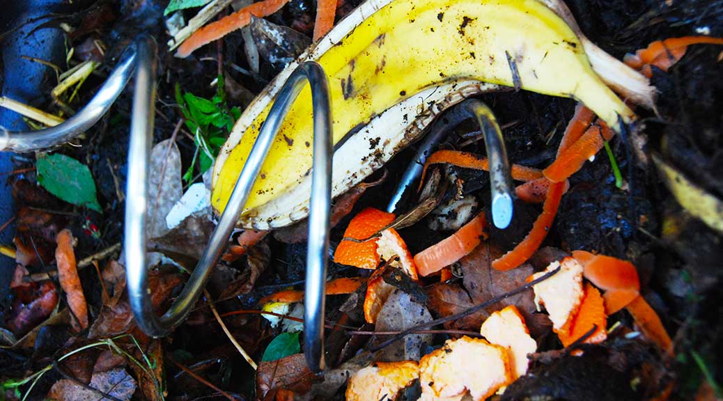 The Art of Composting Rose Rambles