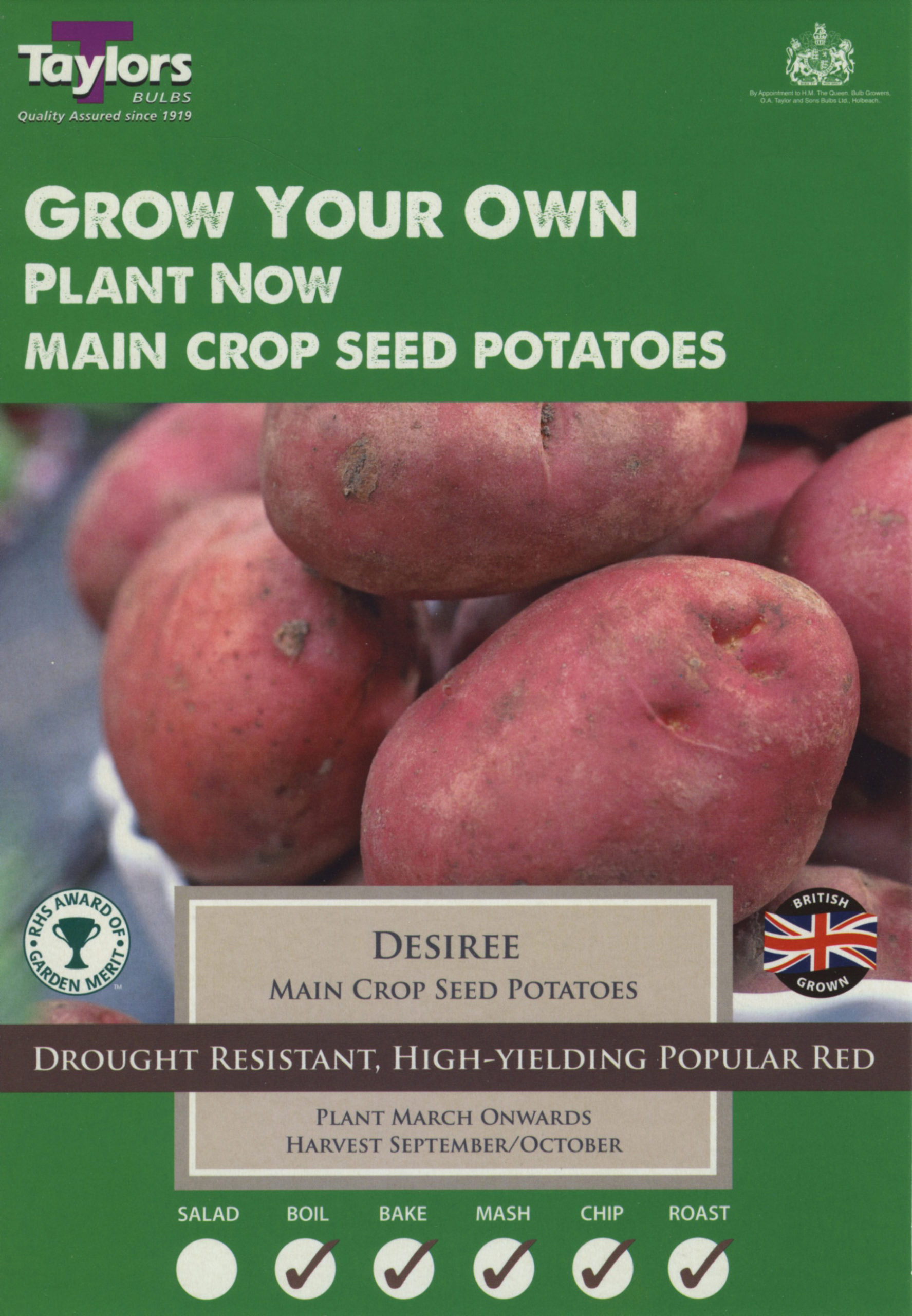 Desiree x 10 Roses of Devizes