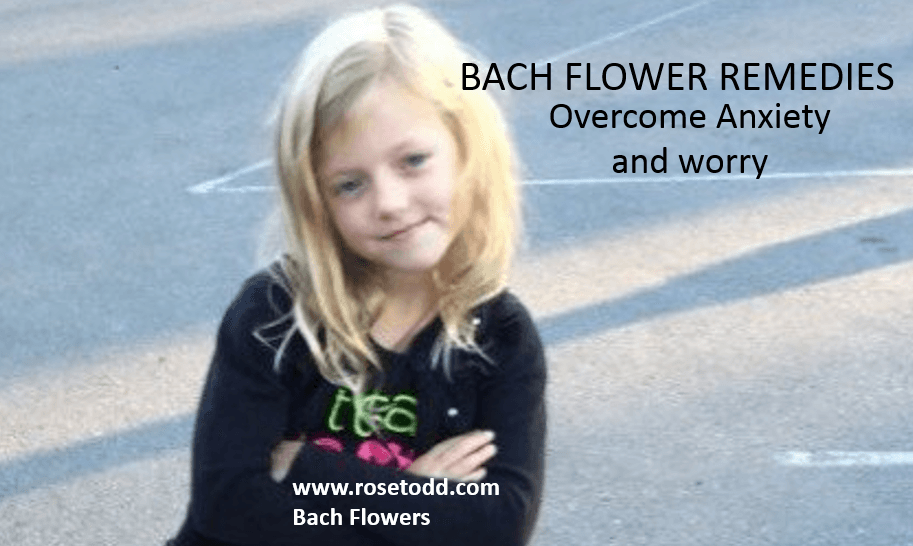 Anxiety_and_worryMimulus1 Rose Todd Simple Spirituality Bach