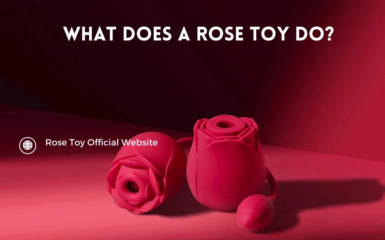 What Does a Rose Toy Do? Is It the Right One to Buy? Rose Toy US
