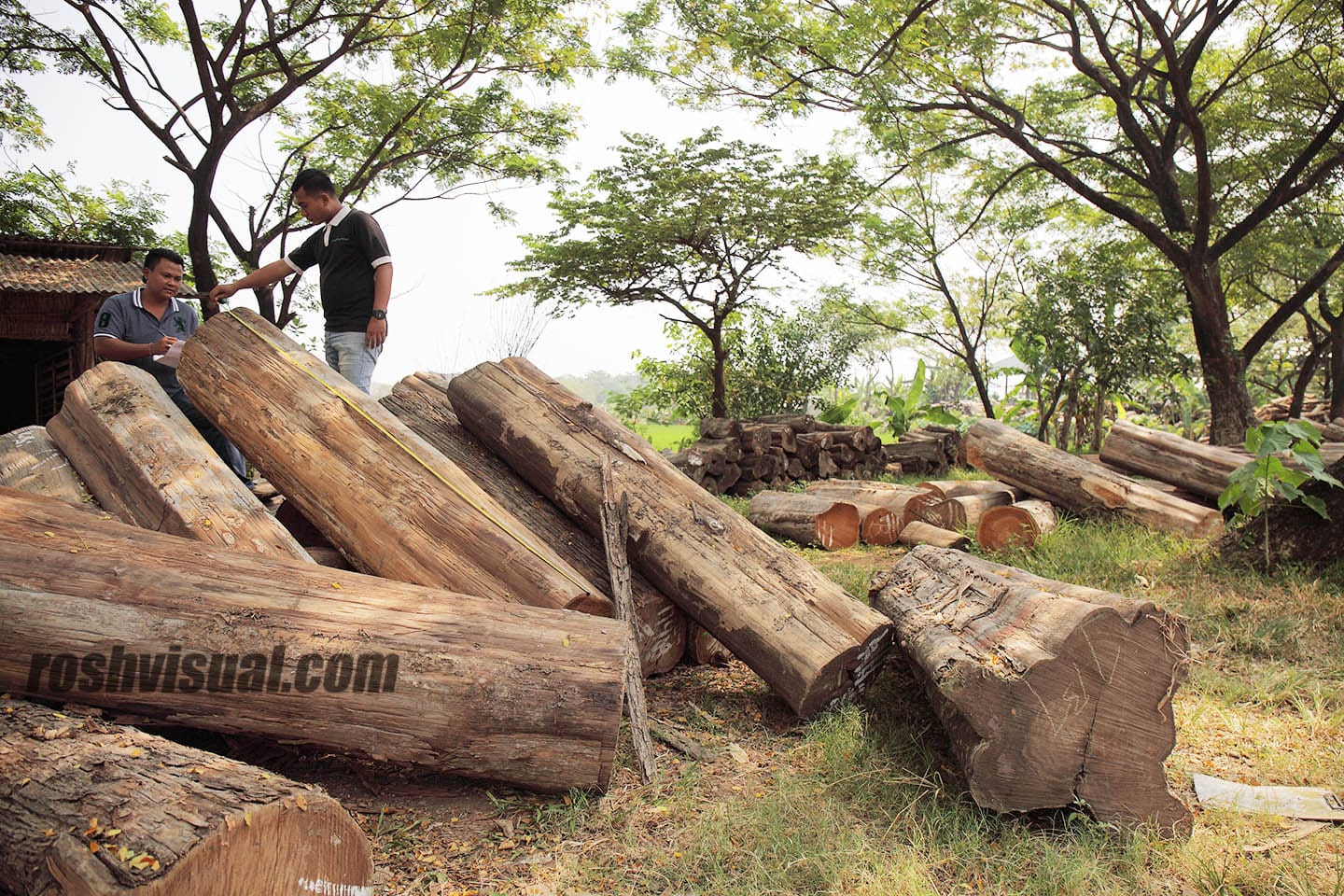 A Brief History of Teak Roshvisual