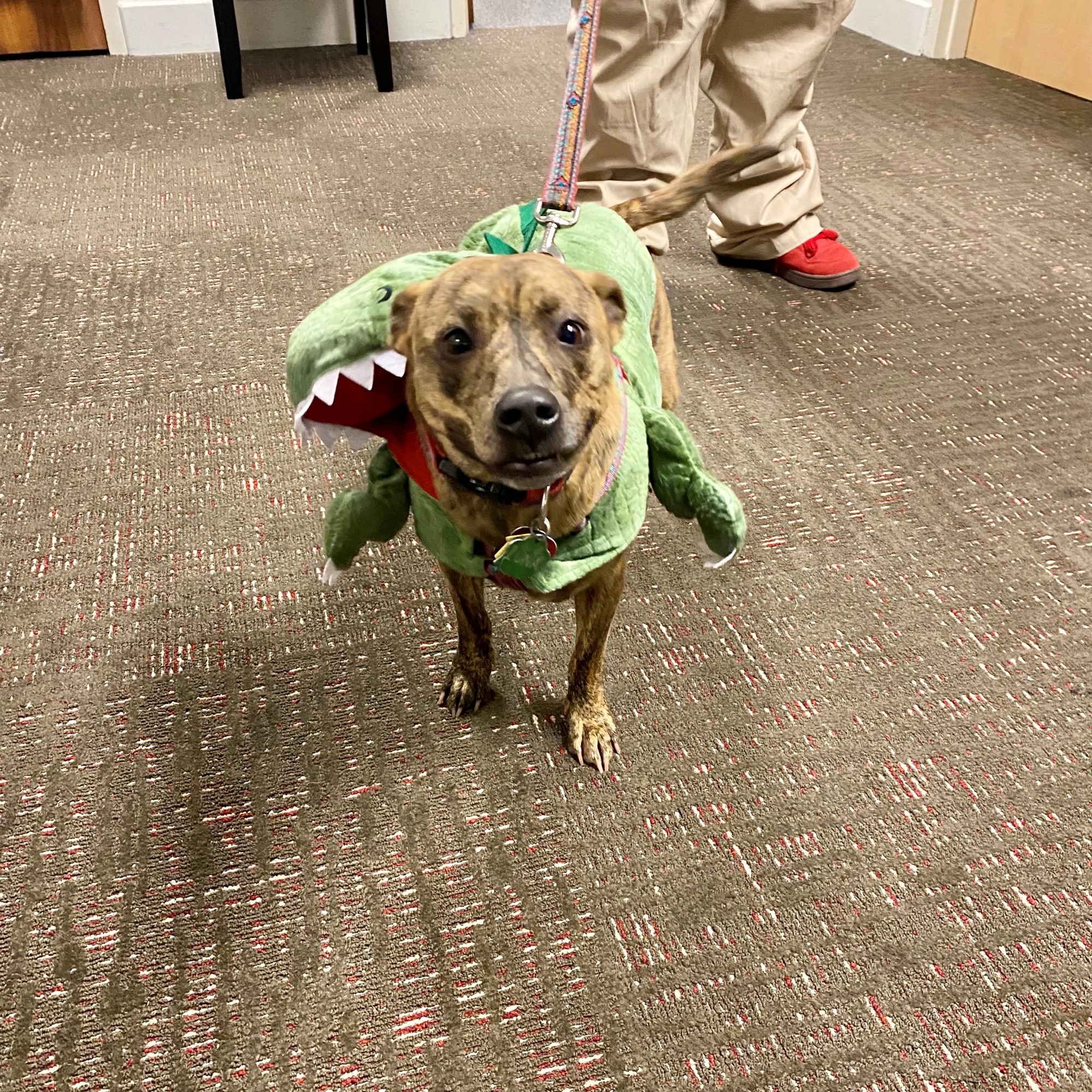 R.O.S.S. TrunkOrTreat ROSS Recovery Center