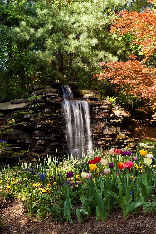 Which Type of Water Feature Is Right for You? Great Falls, VA