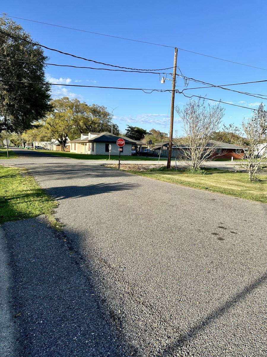 124 James St., Pierre Part, La 70339 Rosslyn Stone