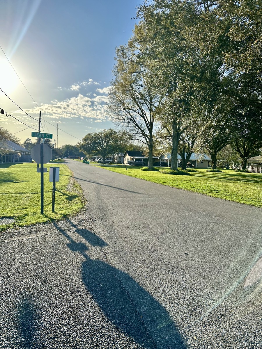 124 James St., Pierre Part, La 70339 Rosslyn Stone