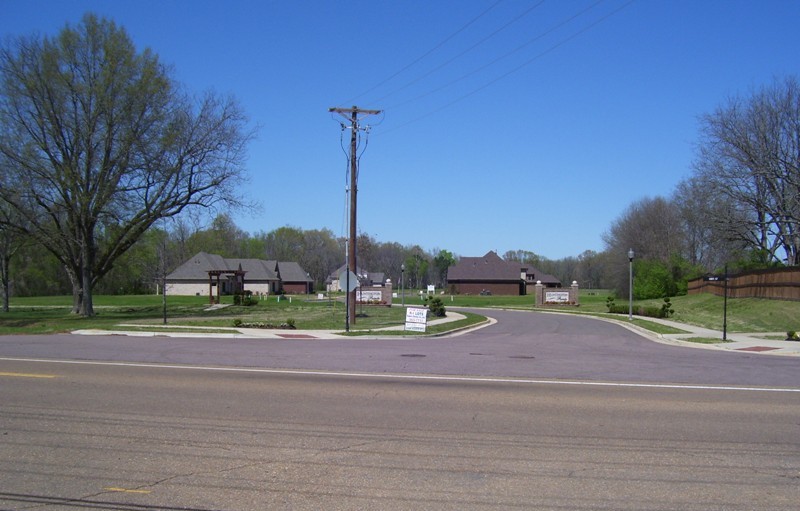 gale picture gallery