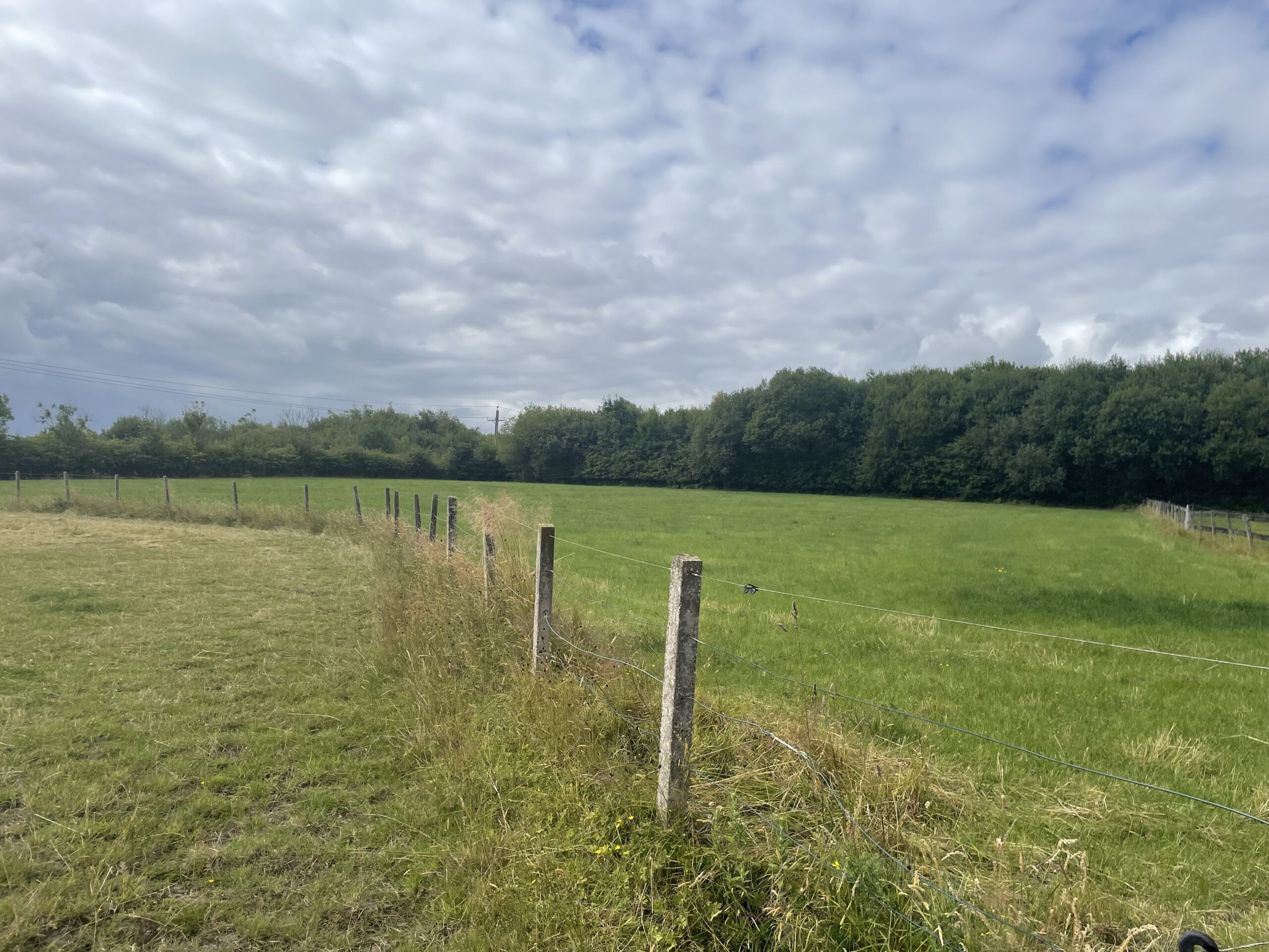 ** Best & Final Offers 12 noon Friday 12th August ** Equestrian Land