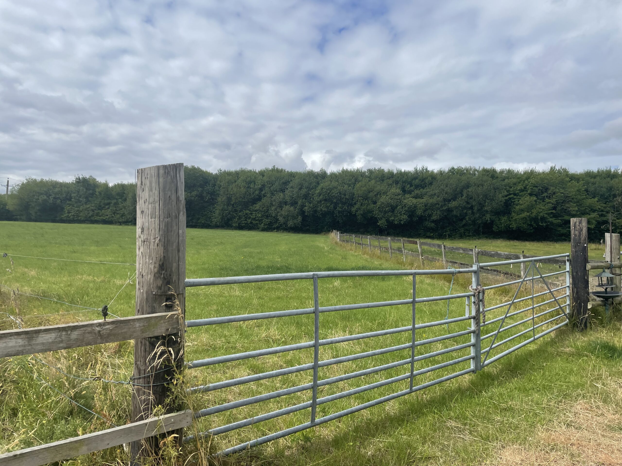 ** Best & Final Offers 12 noon Friday 12th August ** Equestrian Land