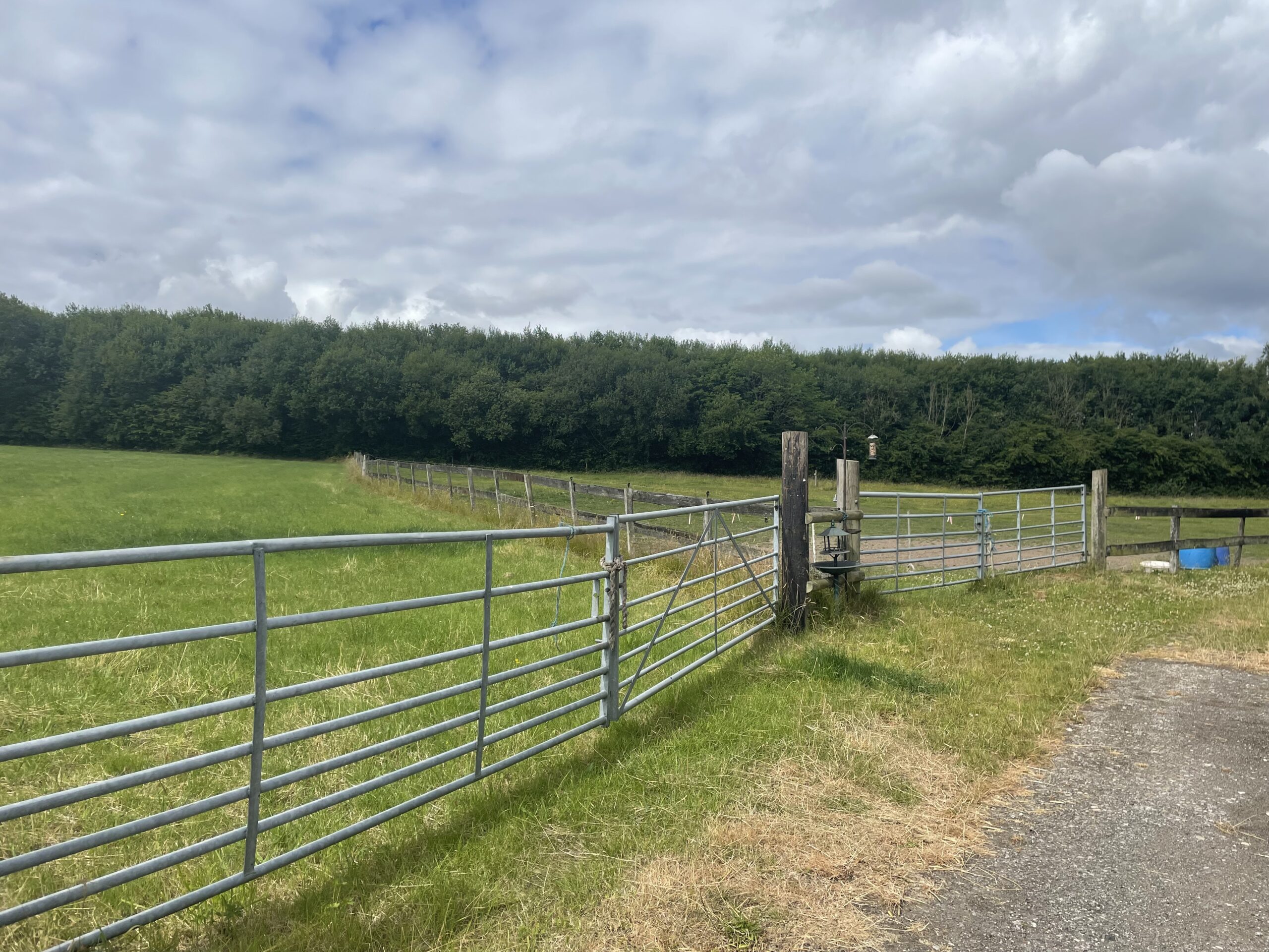 ** Best & Final Offers 12 noon Friday 12th August ** Equestrian Land