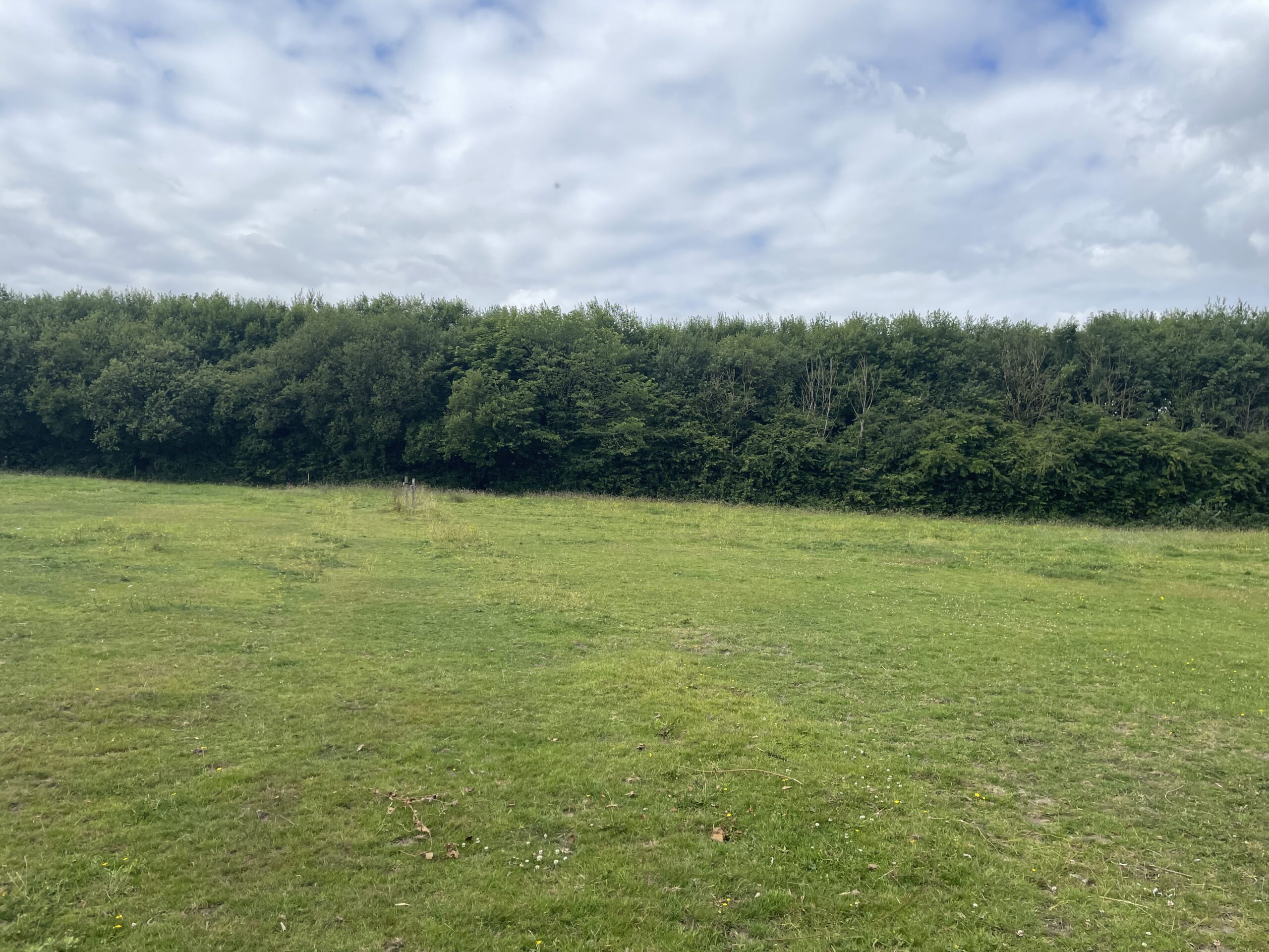 ** Best & Final Offers 12 noon Friday 12th August ** Equestrian Land