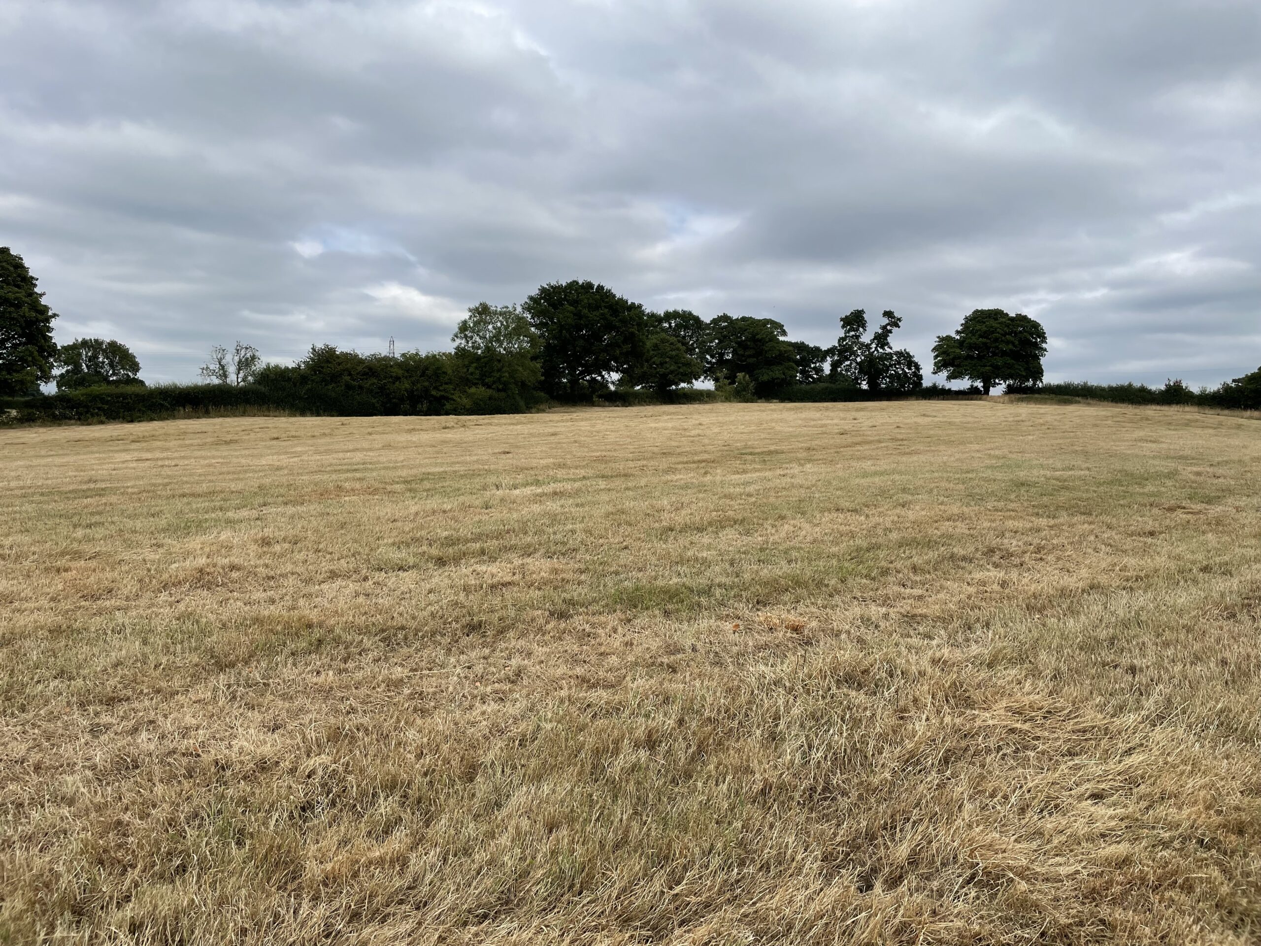 Land At Bradley Lane, Bradley, Malpas, Nr Whitchurch, SY13 4QY Rurtal