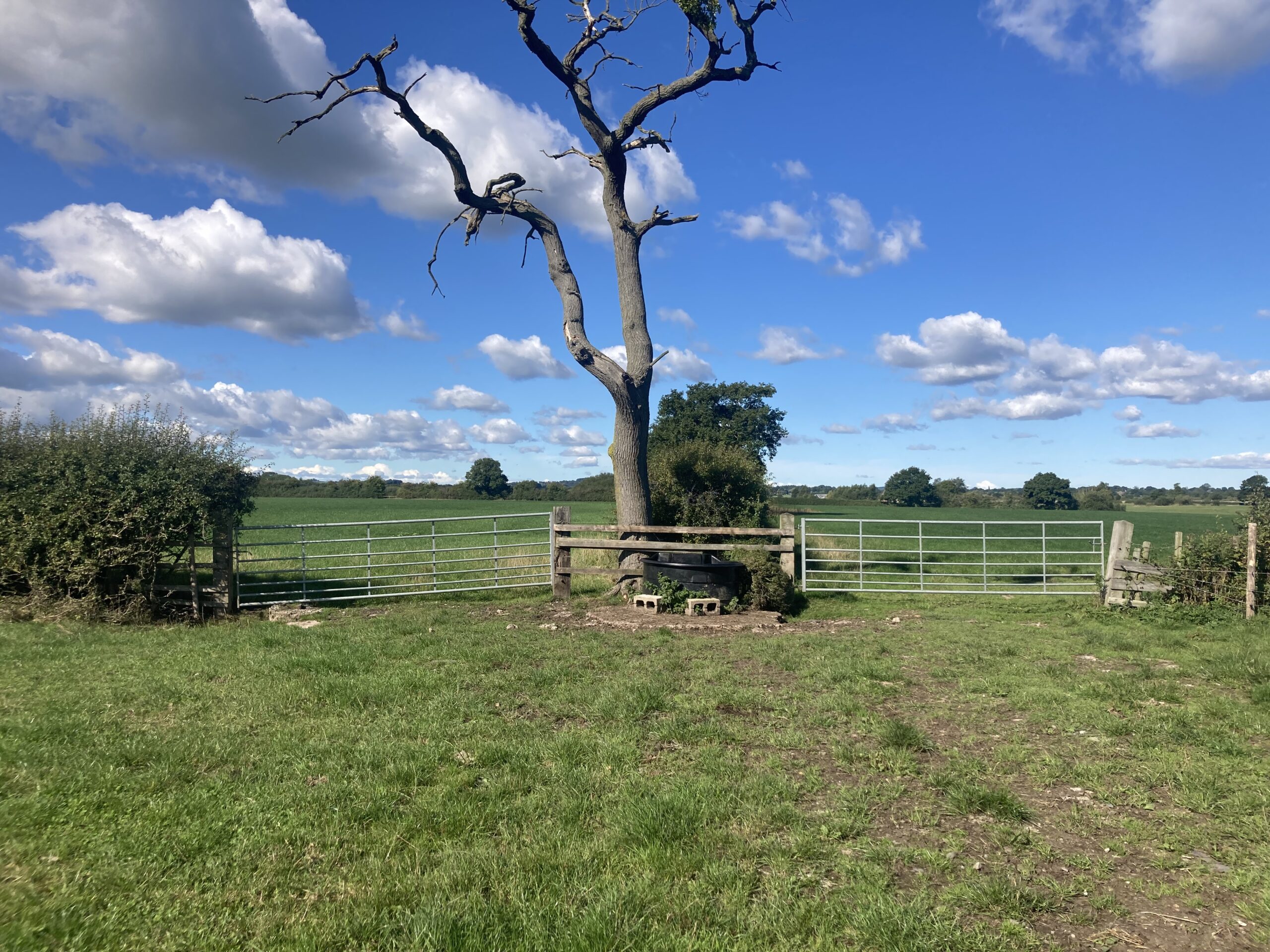 ** Best & Final Offers 12 noon on Friday 21st October ** Land at Pool
