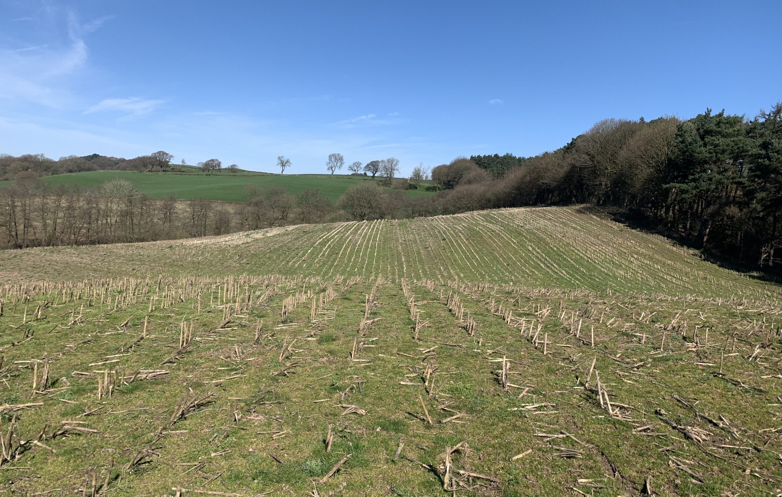 Land Off Ashton Road, Manley, Cheshire, WA6 6PA Rurtal Property, Land