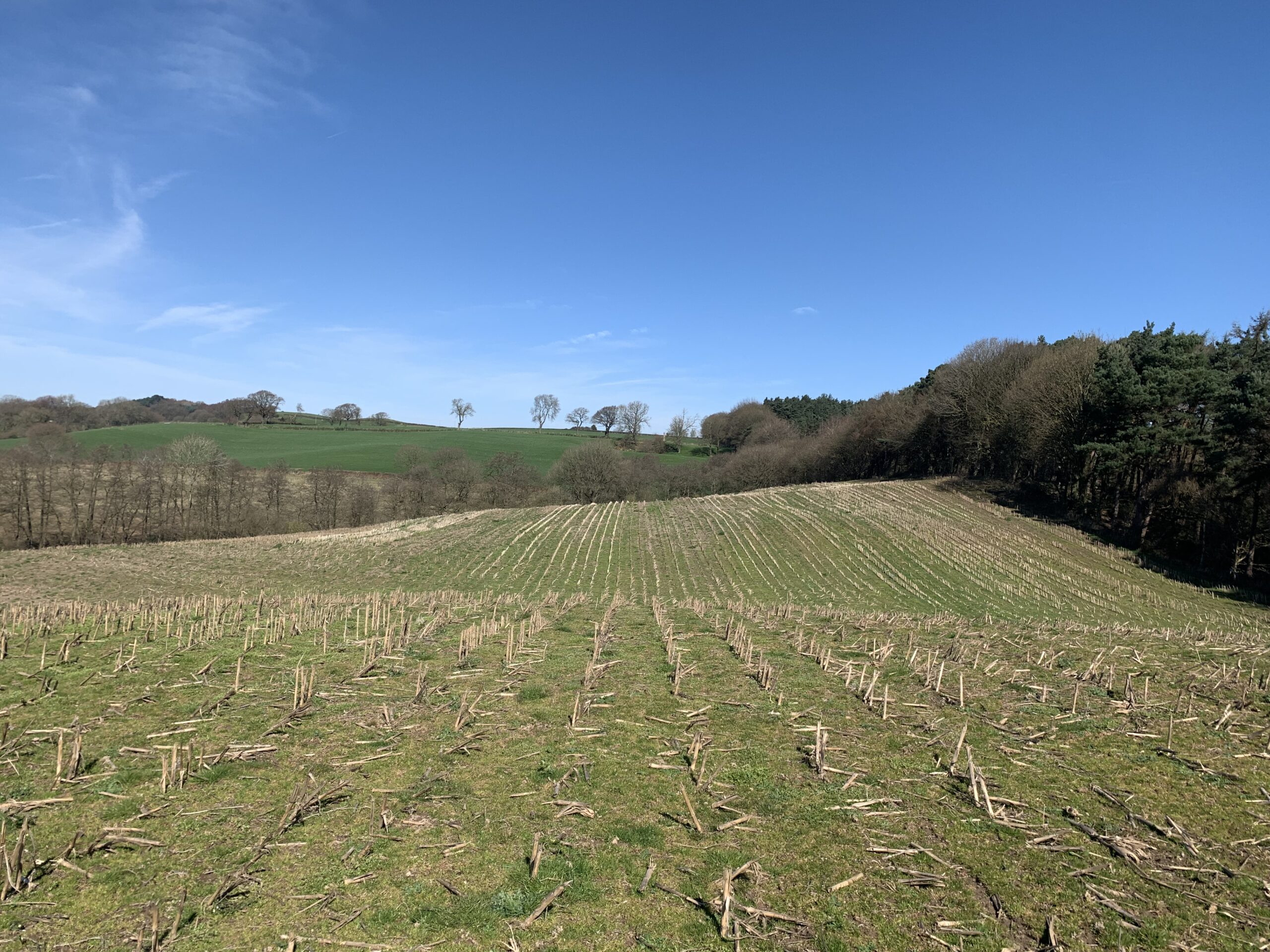 Land Off Ashton Road, Manley, Cheshire, WA6 6PA Rurtal Property, Land