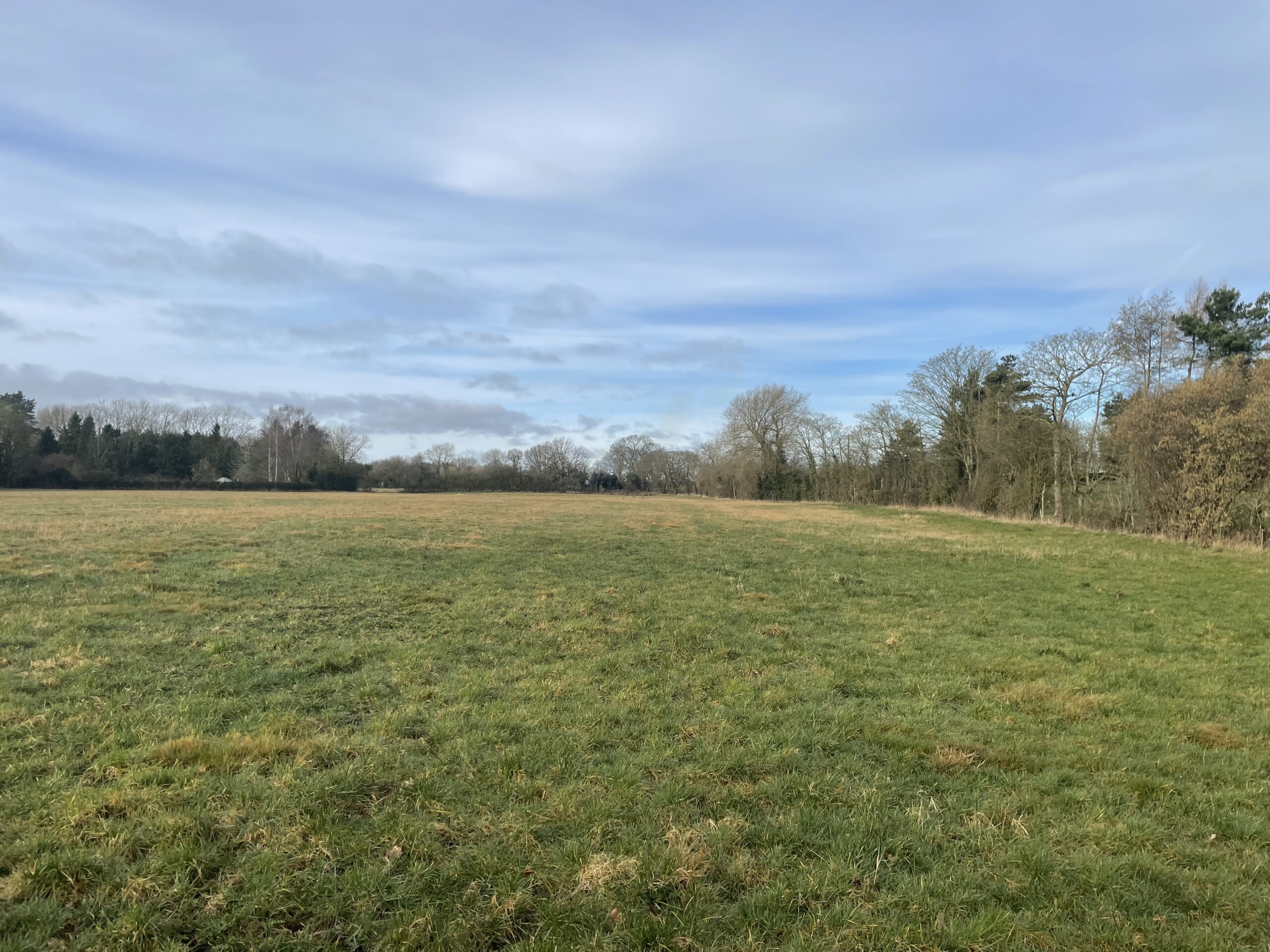 ** Best & Final Offers 12 noon on Friday 31st March ** Land on Tarvin