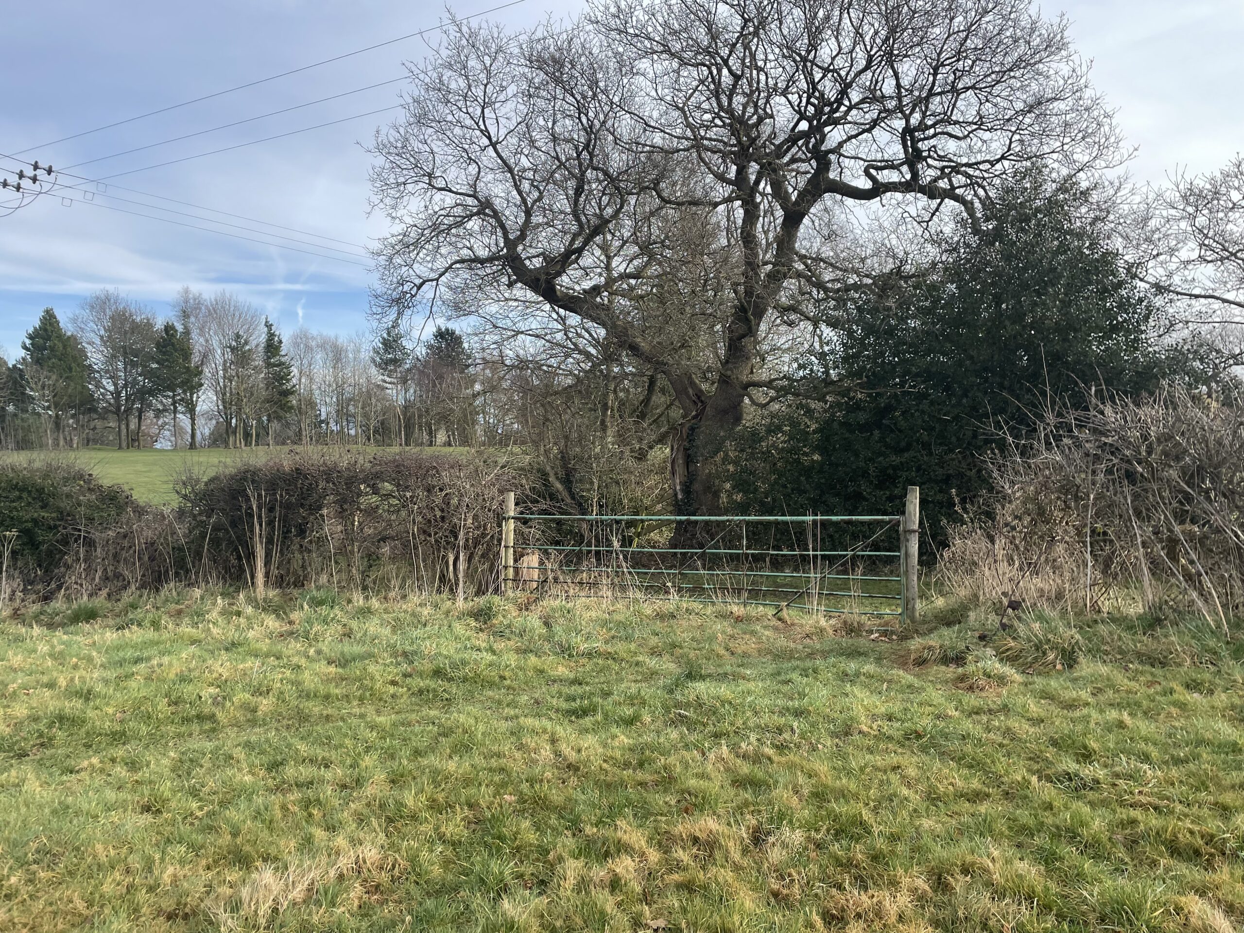 ** Best & Final Offers 12 noon on Friday 31st March ** Land on Tarvin