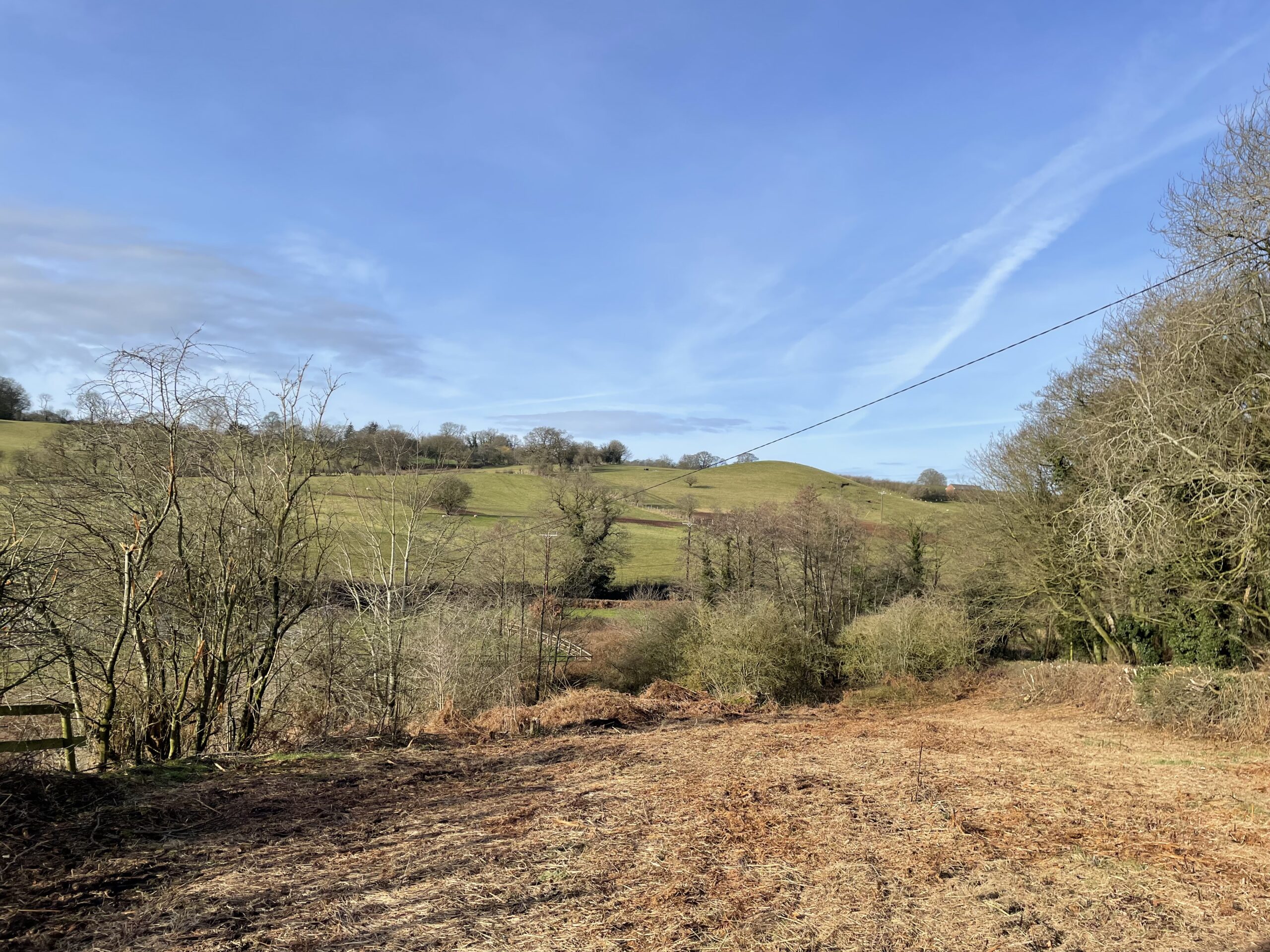 Land on Sadlers Lane, Cotebrook Rurtal Property, Land & Business Listings