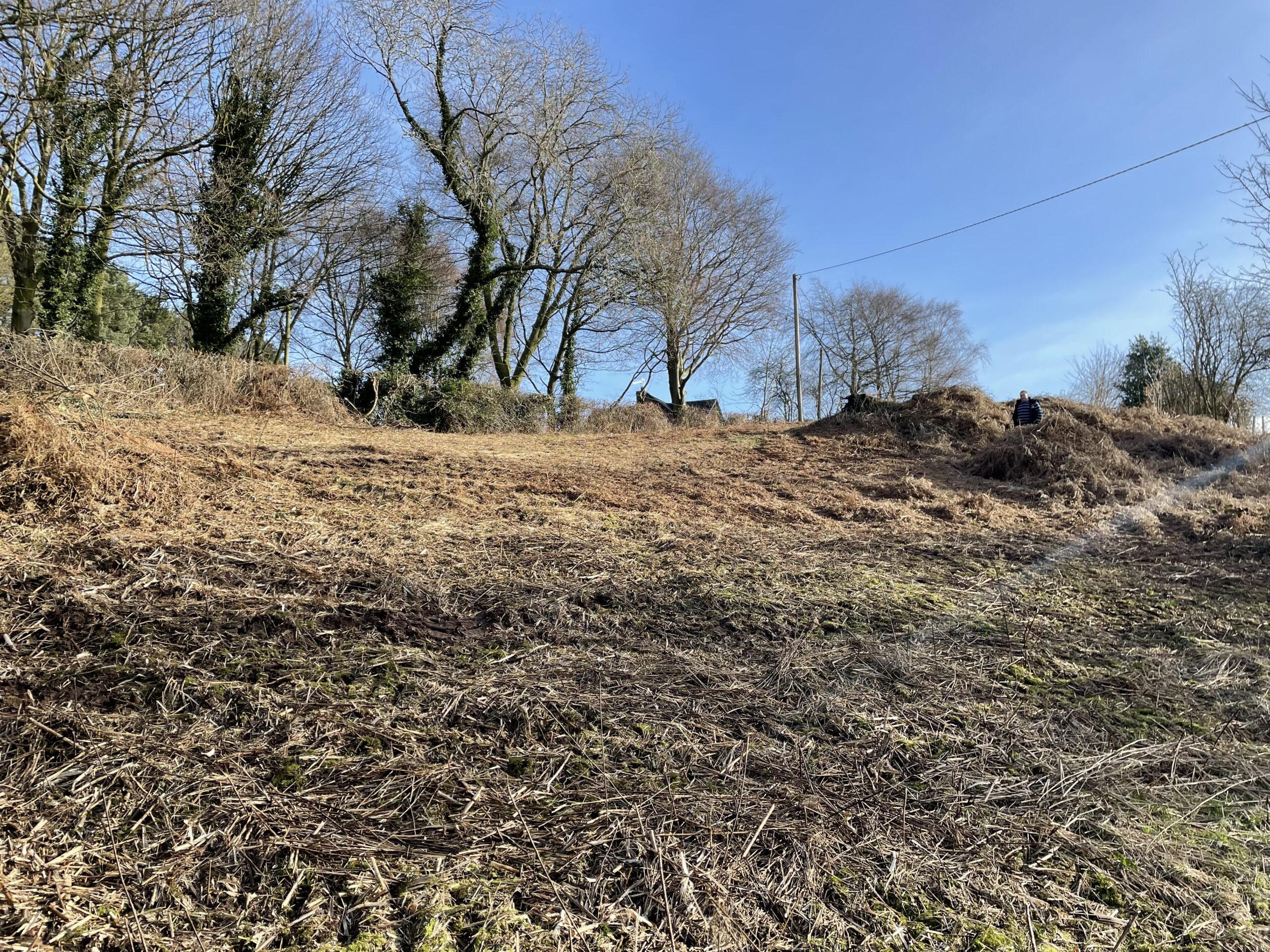 Land on Sadlers Lane, Cotebrook Rurtal Property, Land & Business Listings