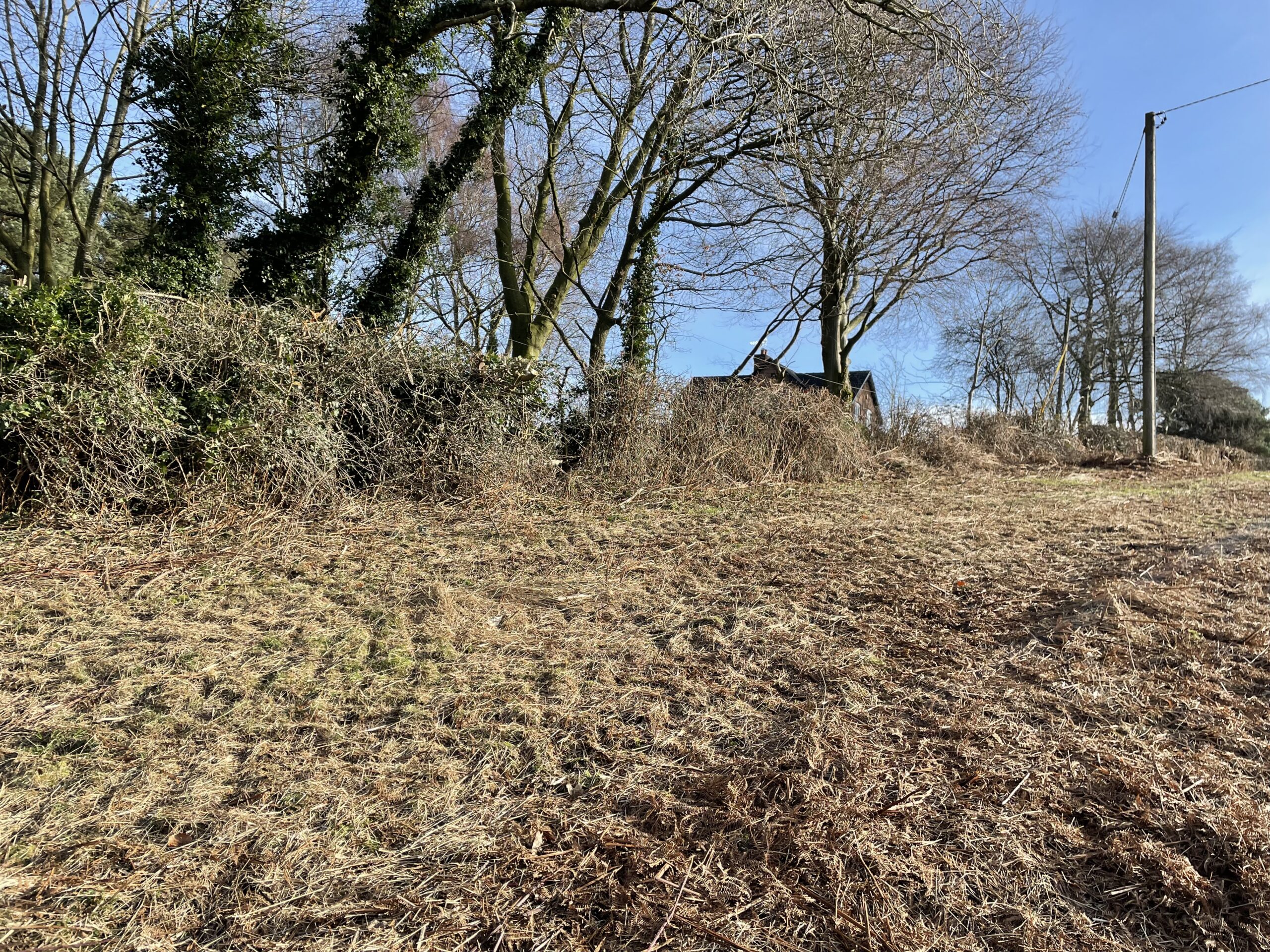 Land on Sadlers Lane, Cotebrook Rurtal Property, Land & Business Listings