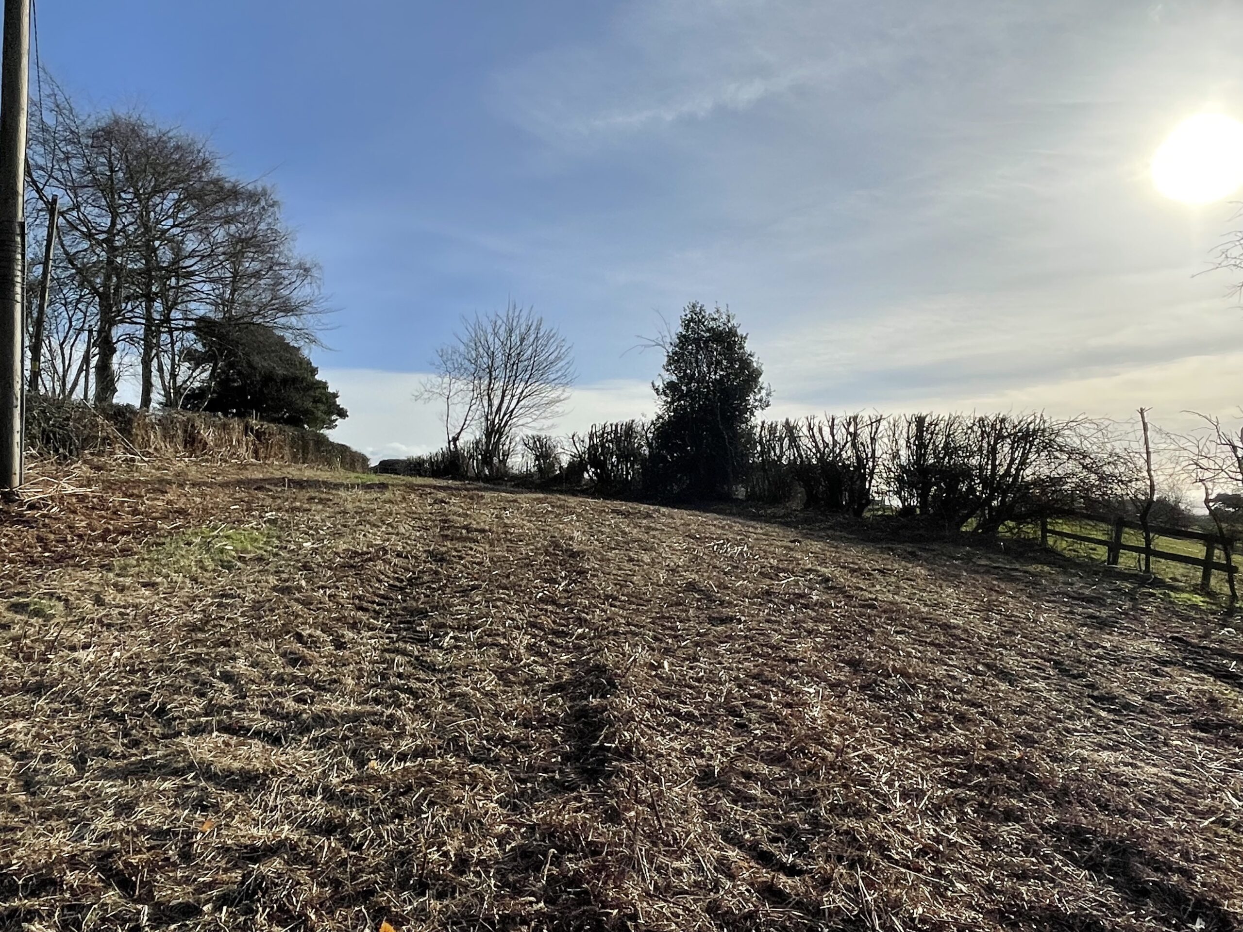 Land on Sadlers Lane, Cotebrook Rurtal Property, Land & Business Listings