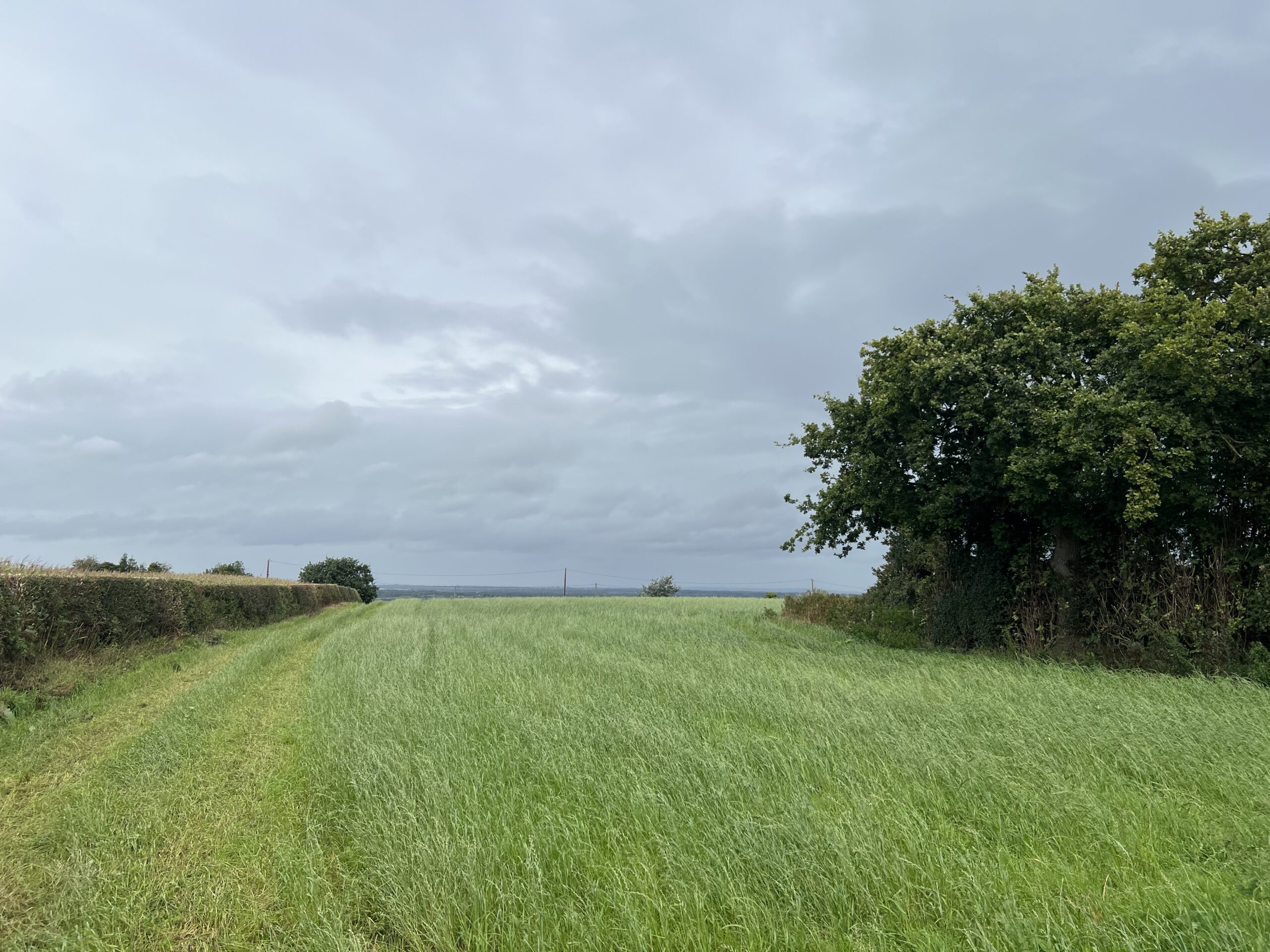 **Best & Final Offers 12 noon Friday 3rd November 2023** Land on