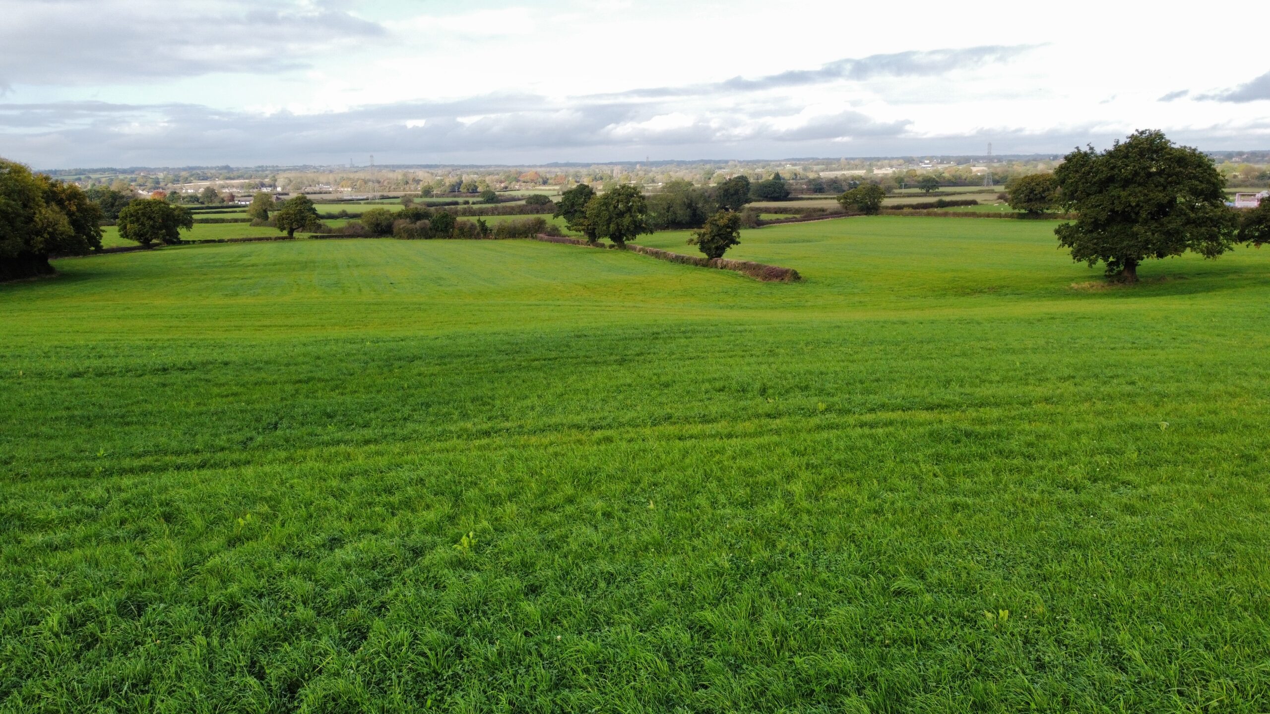 Land at Sandhole Lane/Pingard’s Lane, Crowton, Northwich Rurtal