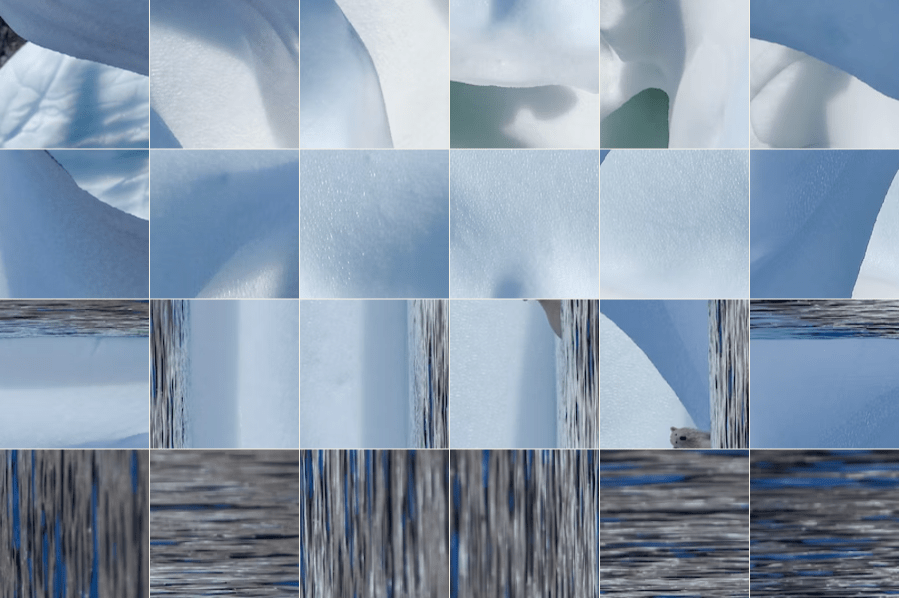 Photo puzzle game of a polar bear swimming in a body of water