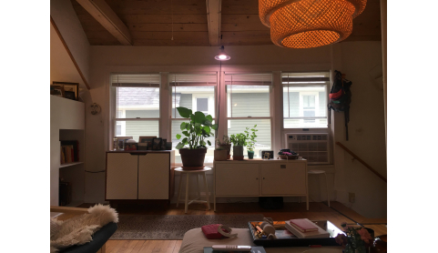 ann arbor sublet fall 2023 Sublets For Students And Professionals Near University Of Michigan | Rotatingroom