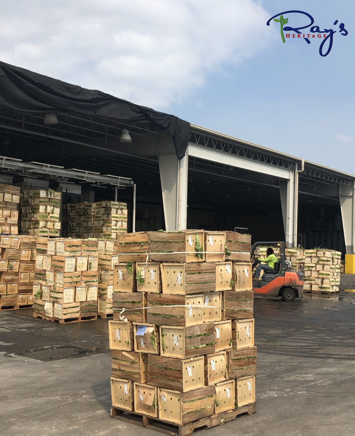 Our Crops Roth Farms